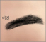 츮 պ