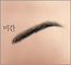 츮 պ